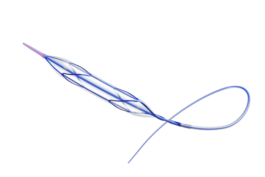 iVascular naviscore